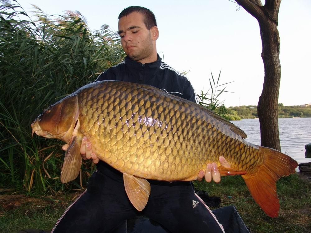 Somnmania ed a-IX-a - resize20of20dsc075741.JPG